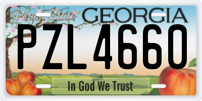 GA license plate PZL4660
