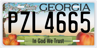 GA license plate PZL4665