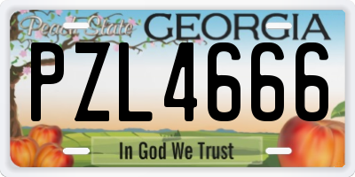 GA license plate PZL4666