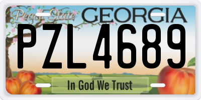 GA license plate PZL4689