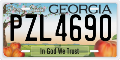 GA license plate PZL4690