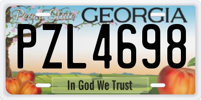 GA license plate PZL4698