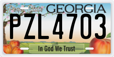 GA license plate PZL4703
