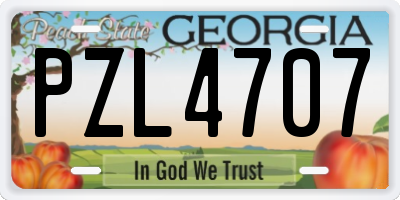 GA license plate PZL4707