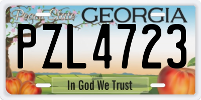 GA license plate PZL4723