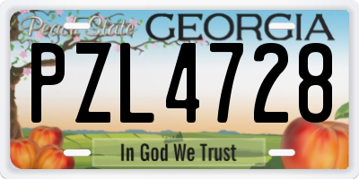 GA license plate PZL4728
