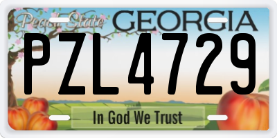 GA license plate PZL4729