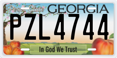 GA license plate PZL4744