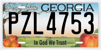 GA license plate PZL4753