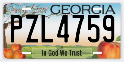 GA license plate PZL4759