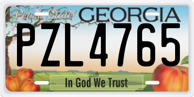 GA license plate PZL4765
