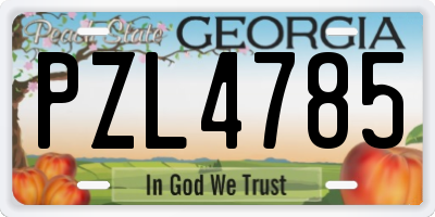 GA license plate PZL4785