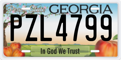 GA license plate PZL4799