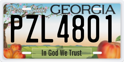 GA license plate PZL4801