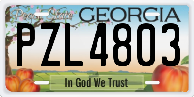 GA license plate PZL4803