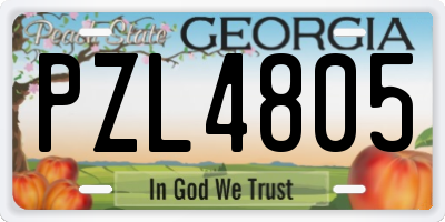 GA license plate PZL4805