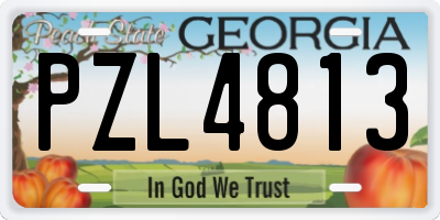 GA license plate PZL4813