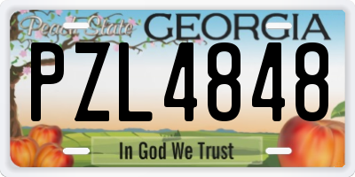 GA license plate PZL4848