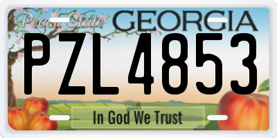 GA license plate PZL4853