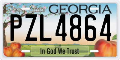 GA license plate PZL4864