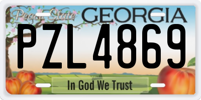GA license plate PZL4869
