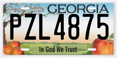 GA license plate PZL4875