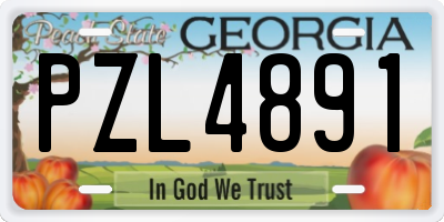 GA license plate PZL4891