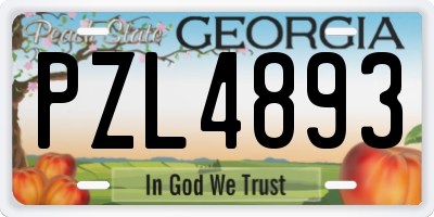 GA license plate PZL4893