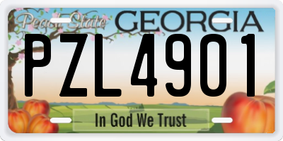 GA license plate PZL4901
