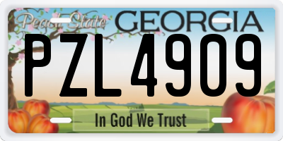 GA license plate PZL4909