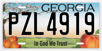 GA license plate PZL4919