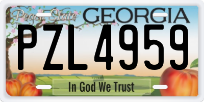 GA license plate PZL4959