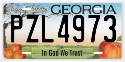 GA license plate PZL4973