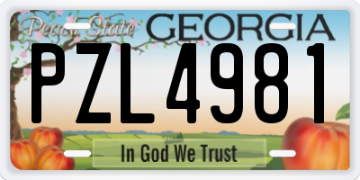 GA license plate PZL4981