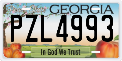 GA license plate PZL4993