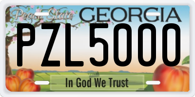 GA license plate PZL5000