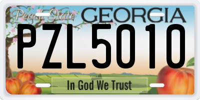 GA license plate PZL5010