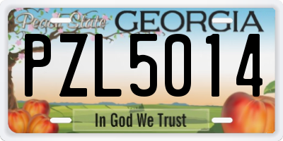 GA license plate PZL5014