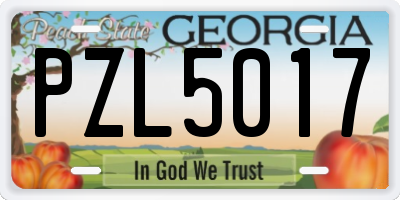 GA license plate PZL5017