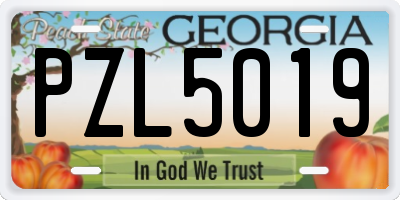 GA license plate PZL5019