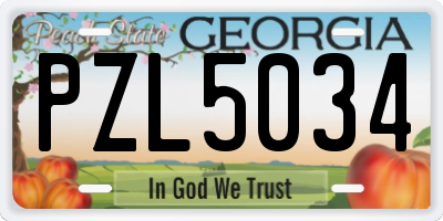 GA license plate PZL5034
