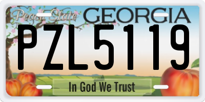 GA license plate PZL5119