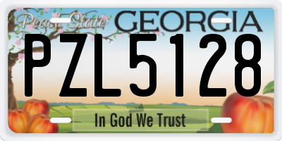GA license plate PZL5128