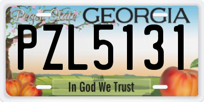 GA license plate PZL5131