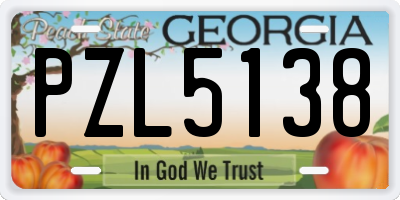 GA license plate PZL5138