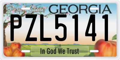 GA license plate PZL5141