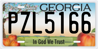 GA license plate PZL5166