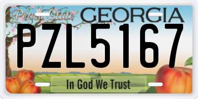 GA license plate PZL5167