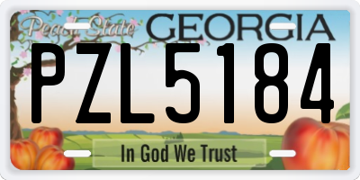 GA license plate PZL5184