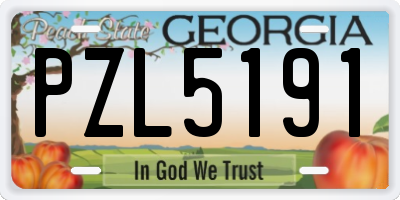 GA license plate PZL5191